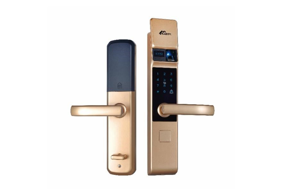 Exquisite small slide smart lock M6